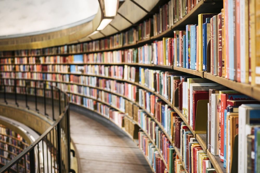 Una elegante biblioteca curva llena de libros